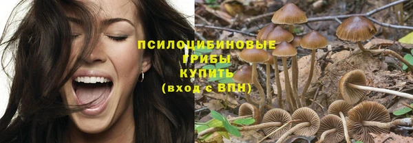 прущие крисы Краснослободск