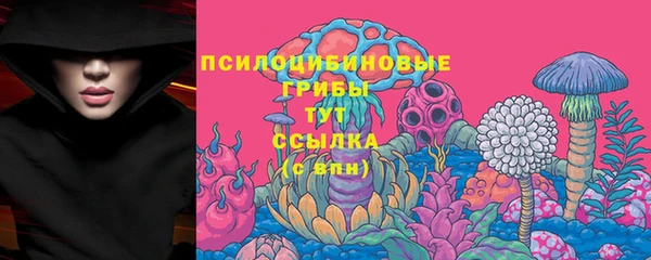 ECSTASY Александровское