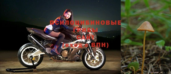ПСИЛОЦИБИНОВЫЕ ГРИБЫ Красноперекопск